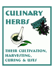 Culinary Herbs Culinary Herbs