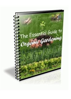 The Essential Guide to Organic Gardening The Essential Guide to Organic Gardening