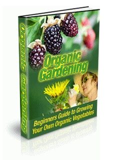 Organic Gardening Organic Gardening