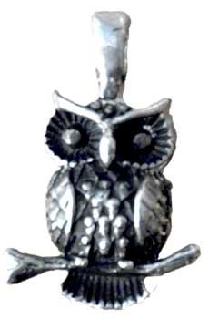 1" Owl Wisdom & Healing Powers amulet 1" Owl Wisdom & Healing Powers amulet