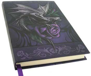 Dragon Beauty journal