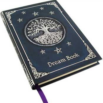 Dream journal Dream journal