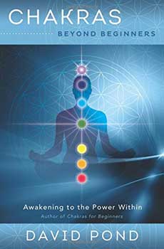 Chakras Beyond Beginners by David Pond Chakras Beyond Beginners by David Pond