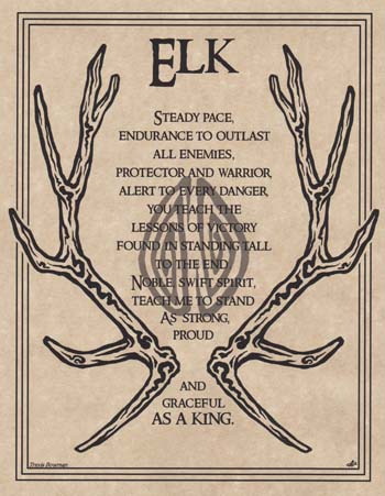 Elk Prayer Elk Prayer