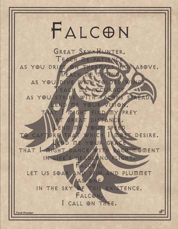 Falcon Prayer Falcon Prayer
