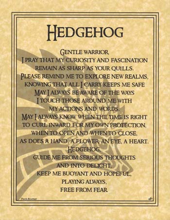Hedgehog Prayer Hedgehog Prayer