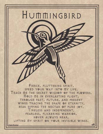 Hummingbird Prayer Hummingbird Prayer