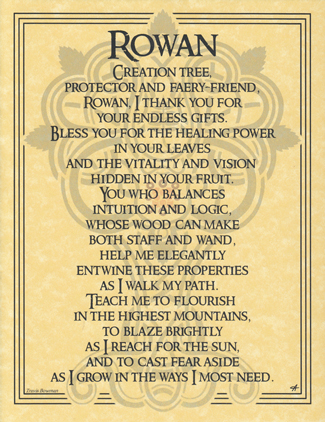 Rowan Rowan