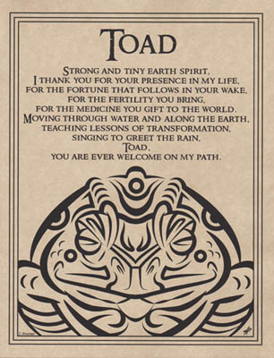 Toad Blessing Toad Blessing