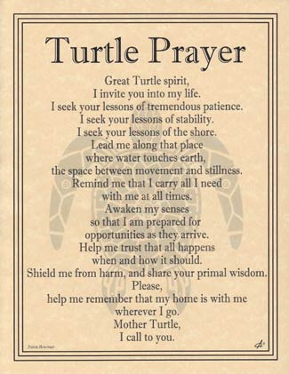 Turtle Prayer Turtle Prayer