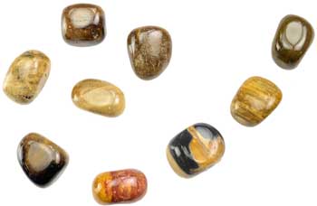 1 Lb Petrified Wood tumbled 1 Lb Petrified Wood tumbled