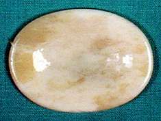 Bone Worry Stone Bone Worry Stone