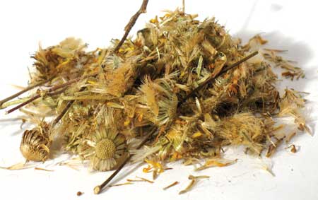 1 Lb Arnica whole 1 Lb Arnica whole