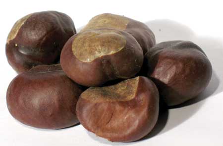 1 Lb Buckeyes whole