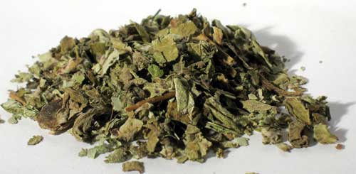 1 Lb Coltsfoot Leaf 1 Lb Coltsfoot Leaf