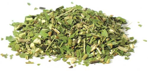 1 Lb Echinacea Purpurea Leaf cut 1 Lb Echinacea Purpurea Leaf cut