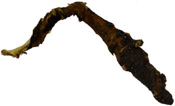 1 Lb Osha Root wh 1 Lb Osha Root wh