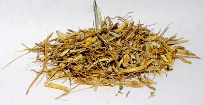 1 Lb Witches Grass cut 1 Lb Witches Grass cut