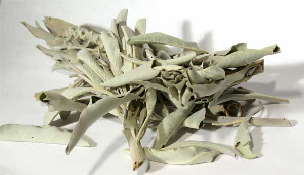 1 Lb White Sage 1 Lb White Sage