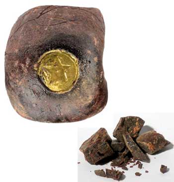 1 Lb Dragon's Blood 1 Lb Dragon's Blood