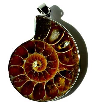 Ammonite Fossil pendant