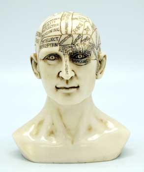 6" Phrenology Head 6" Phrenology Head