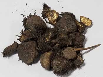 Lodestone Gold Lodestone Gold