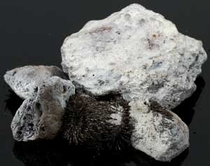 1 Lb Lodestones White 1 Lb Lodestones White