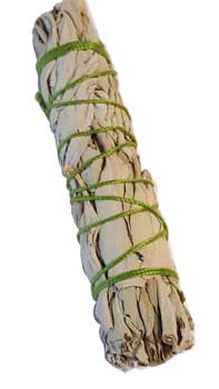 California White Sage smudge 3" California White Sage smudge 3"