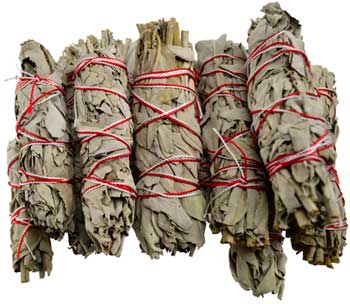 White Sage smudge 12pk 3 1/2" White Sage smudge 12pk 3 1/2"
