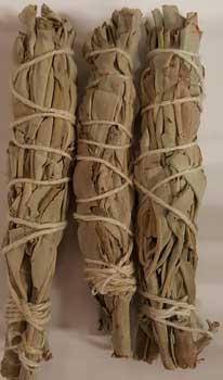 White Sage smudge 3pk 3 1/2" White Sage smudge 3pk 3 1/2"