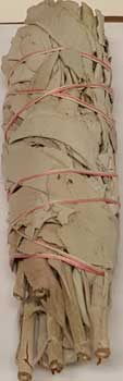 White Sage smudge 5-6" White Sage smudge 5-6"