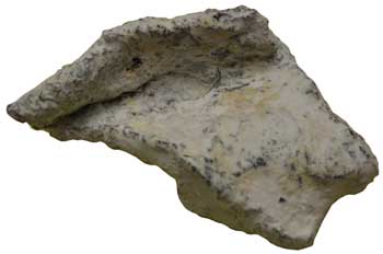 Wolfs Heart Wolfs Heart